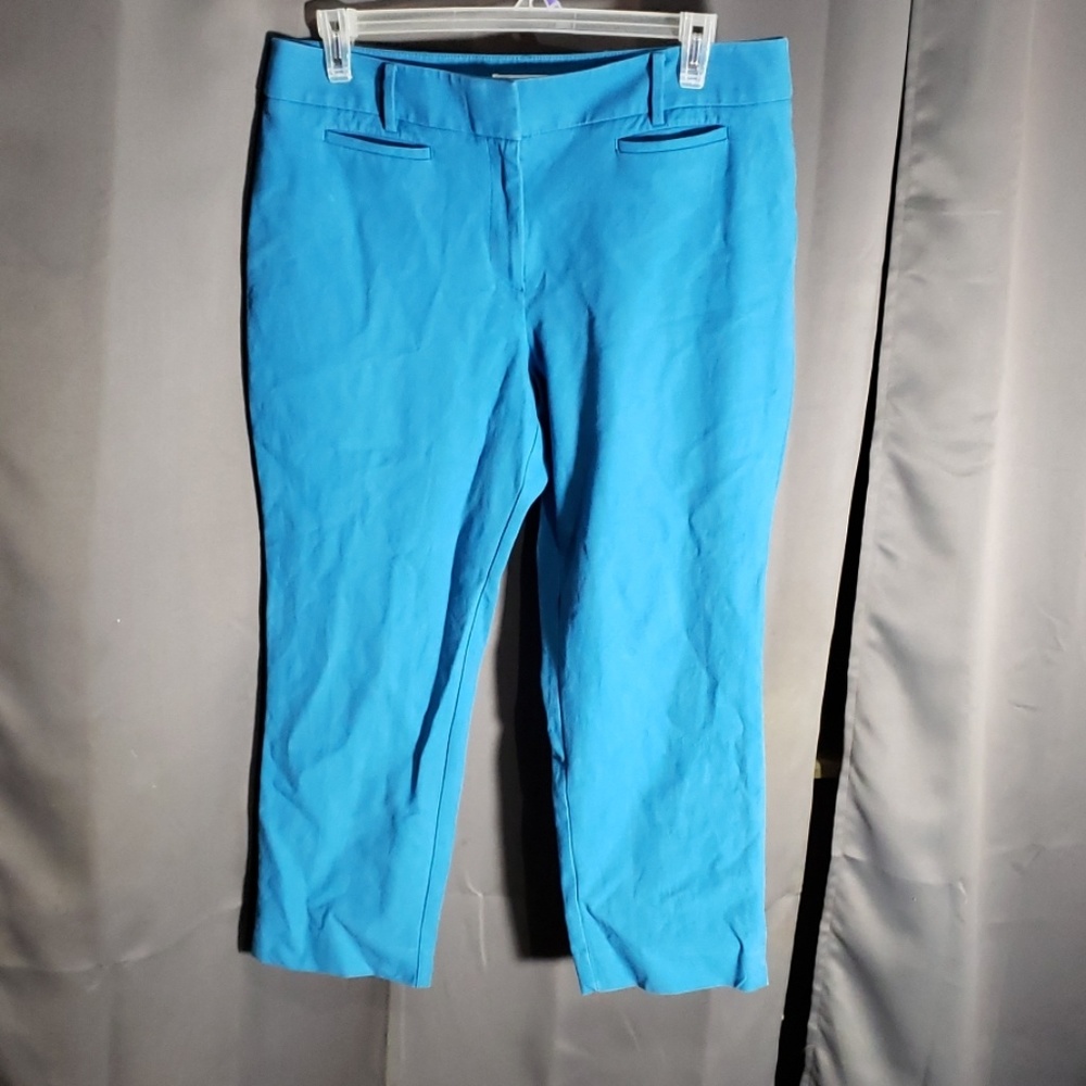 ANN TAYLOR LOFT RIVERA PANT JULIE  SZ 14